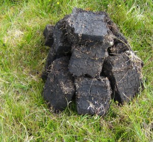 Harvested Peat