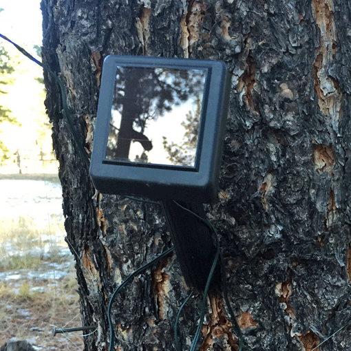 Solar Panel for Fairy Balls